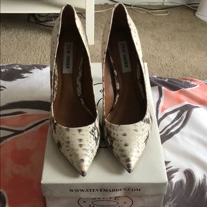 STEVE MADDEN PROTO NATURAL SNAKE POINTED PUMPS